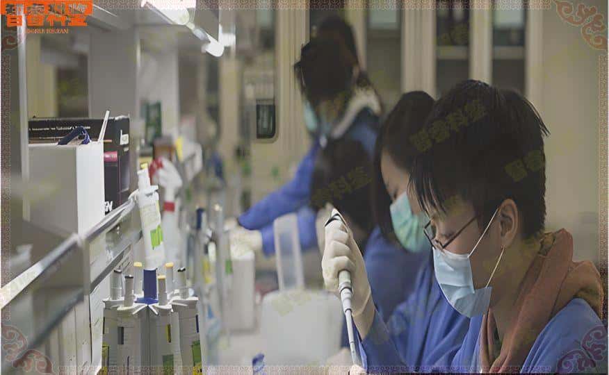 娄底司法亲子鉴定中心地址一览