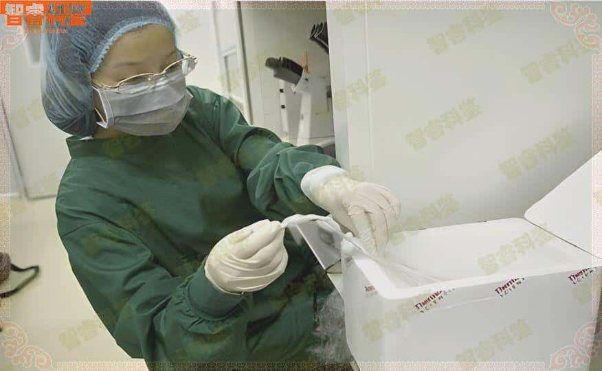 娄底双峰县正规亲子鉴定办理中心地址一览