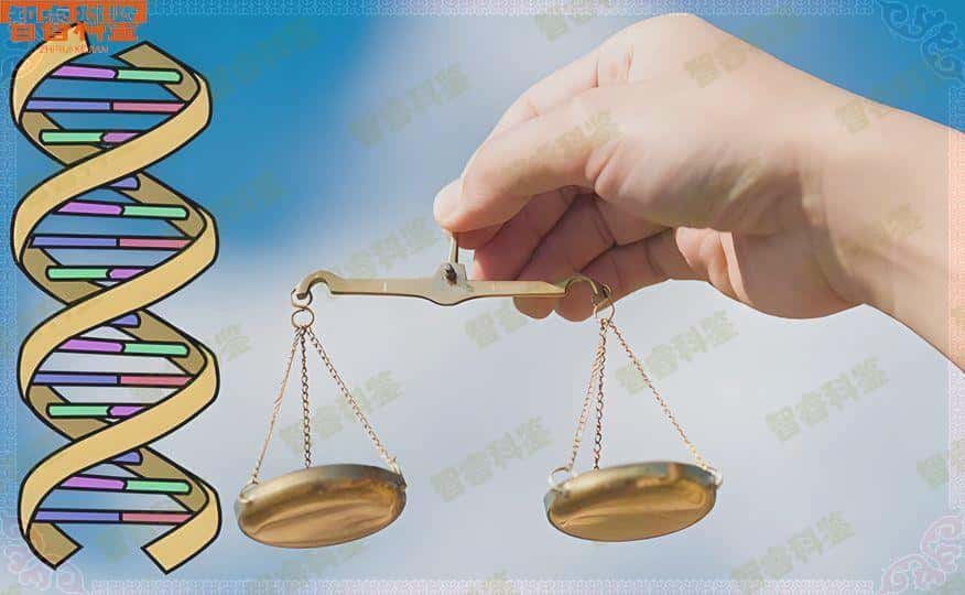 醴陵市可以做亲子鉴定的正规机构