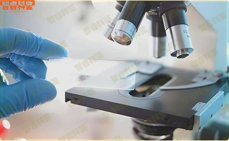 张家界正规孕期亲子鉴定办理中心地址一览