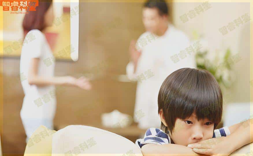 石家庄亲子鉴定中心