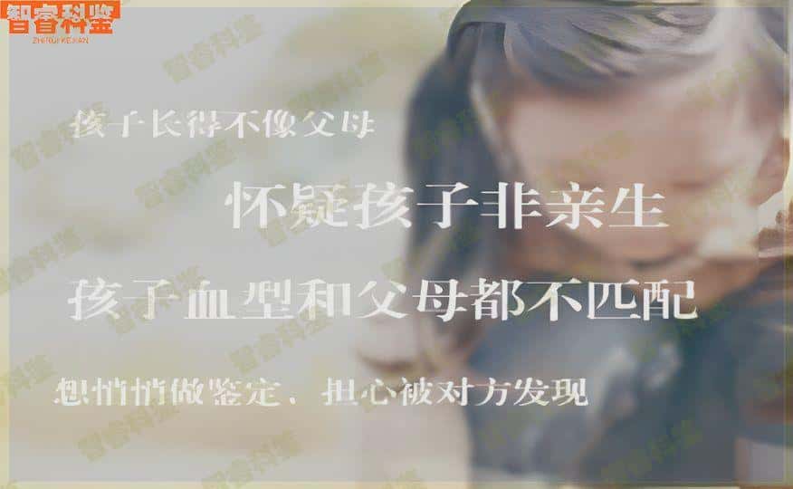 石家庄市司法亲子鉴定机构一览