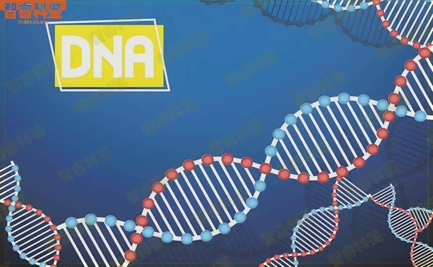 保定15家可以做亲子鉴定的机构合集