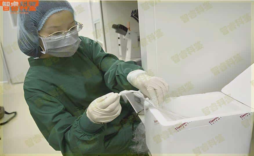 衡水法医鉴定亲子鉴定一般需要多少钱