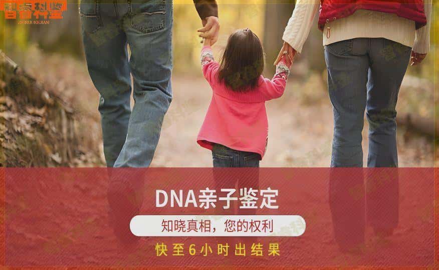 正定市司法dna亲子鉴定收费费用标准大全