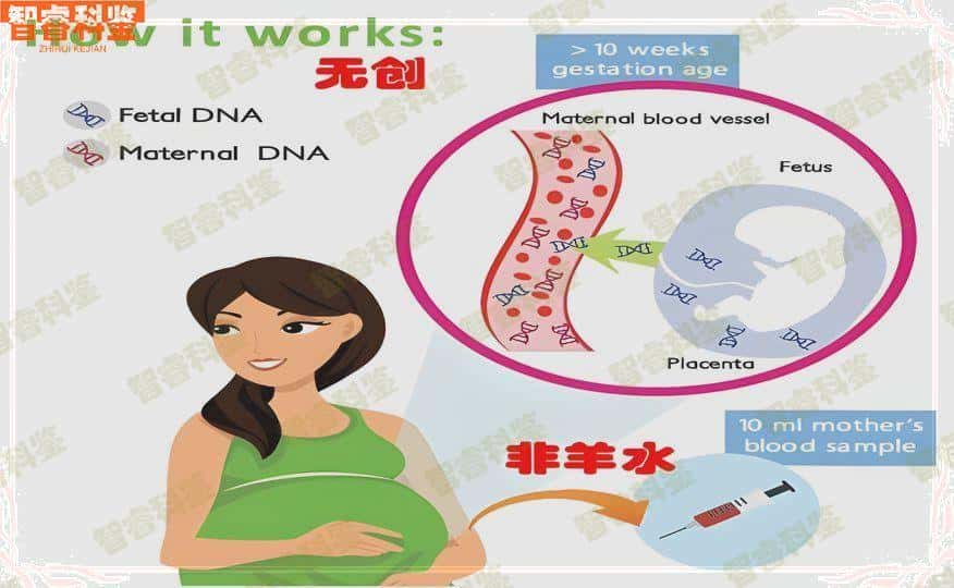 沧州沧县转户dna亲子鉴定机构10家汇总