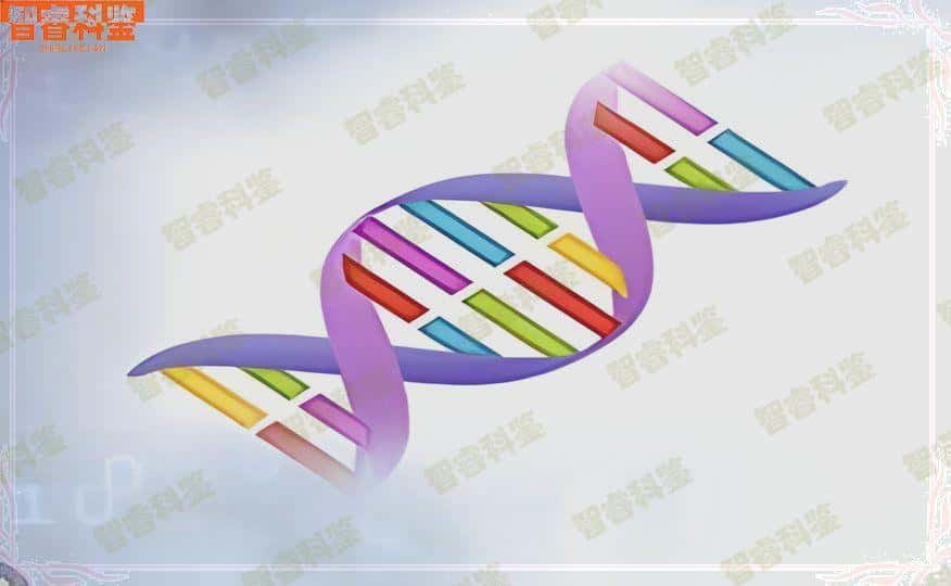 南通可以做上户口亲子鉴定的正规医院