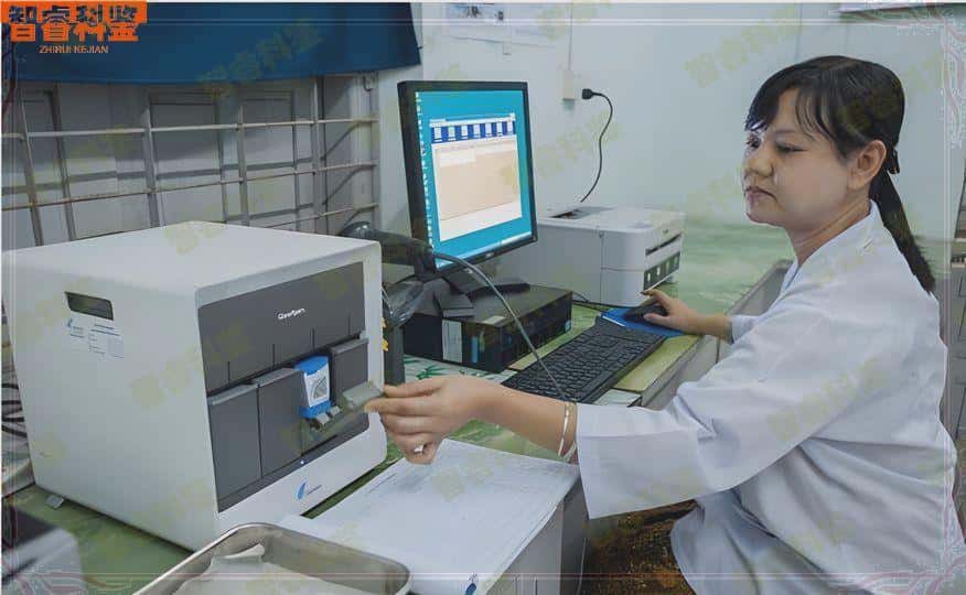 香河市个人隐私亲子鉴定收费标准一览表