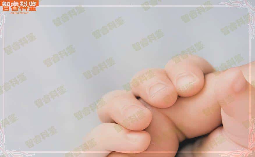 香河升学亲子鉴定收费标准汇总