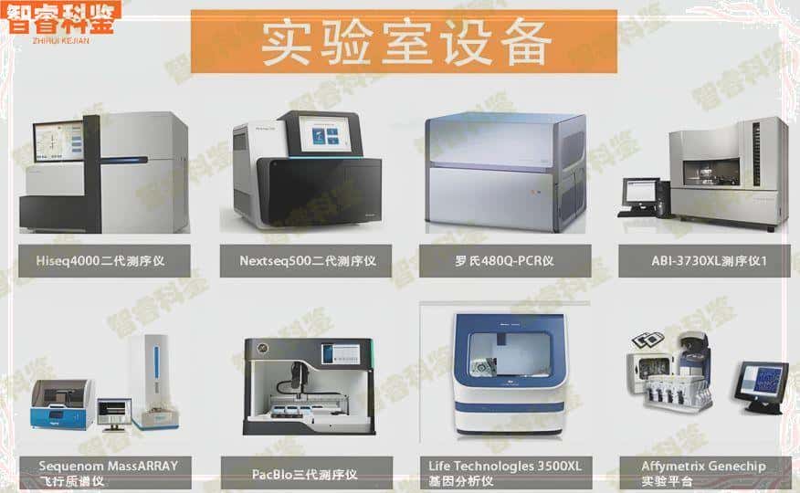 南京做亲子鉴定的11个正规机构