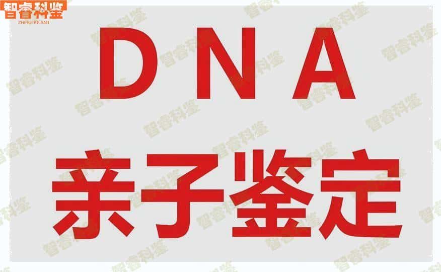 徐州市5家正规亲子鉴定机构大全