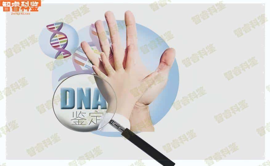 盐城市最全亲子鉴定机构一览
