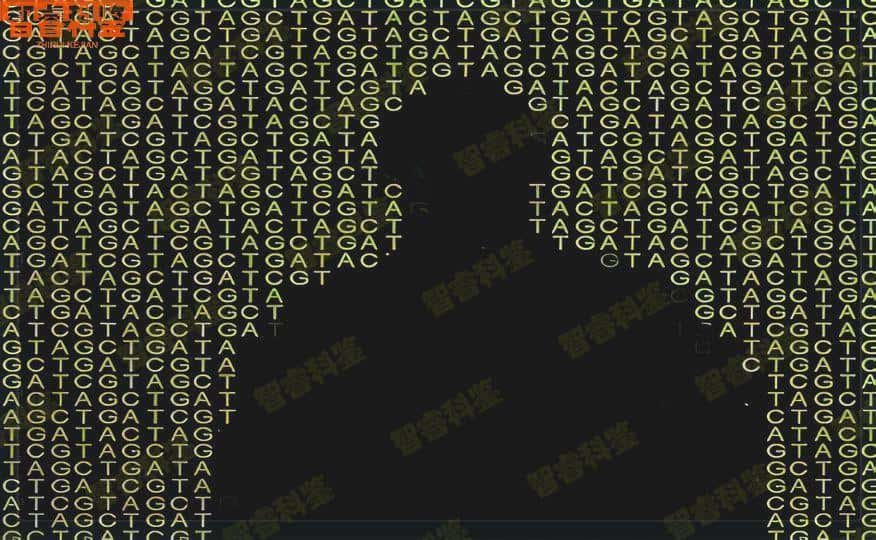 南通如皋市11家个人亲子鉴定中心大全