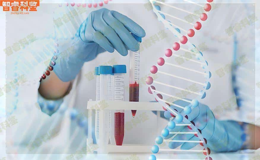 南通可以做亲子鉴定的正规机构一共15家