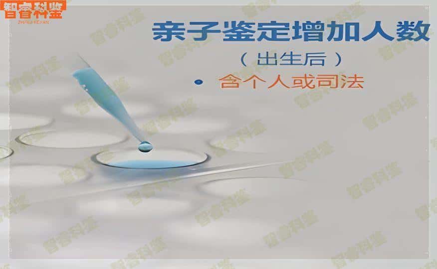 兴化市各区正规亲子鉴定办理中心地址一览