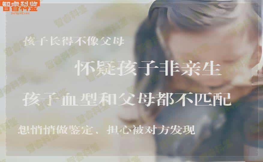 兴化医院可以做亲子鉴定吗