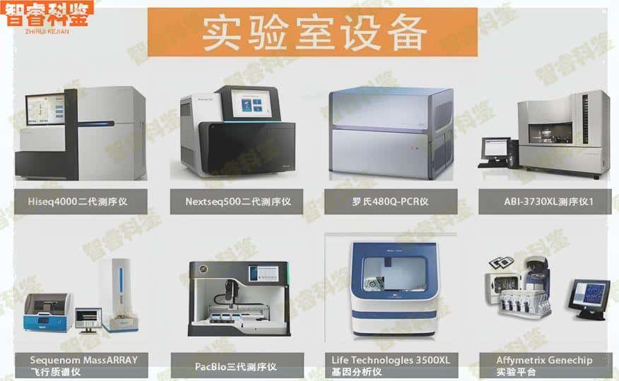 新沂亲子鉴定鉴定中心地址合集