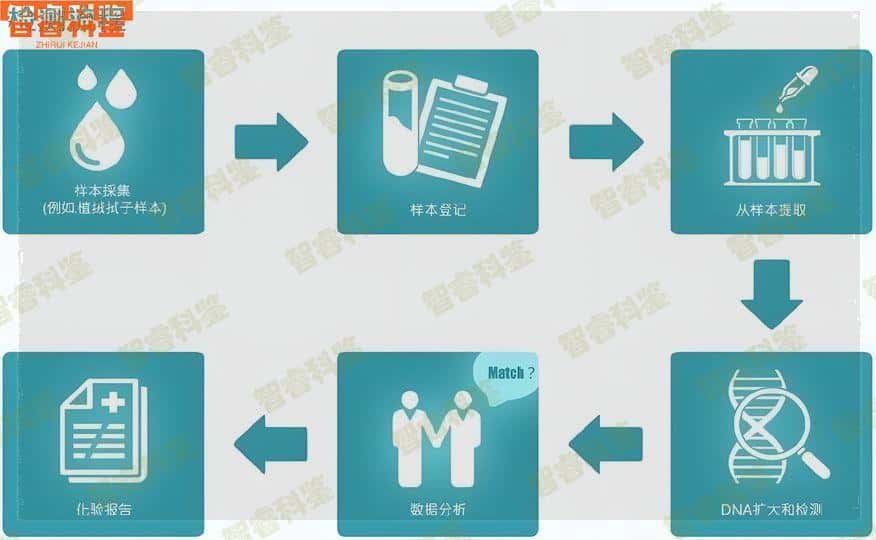 泰州泰兴市亲子鉴定去哪做