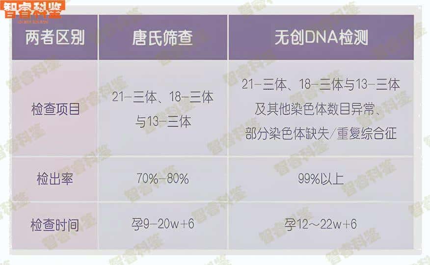 泰州泰兴市个人dna亲子鉴定收费标准