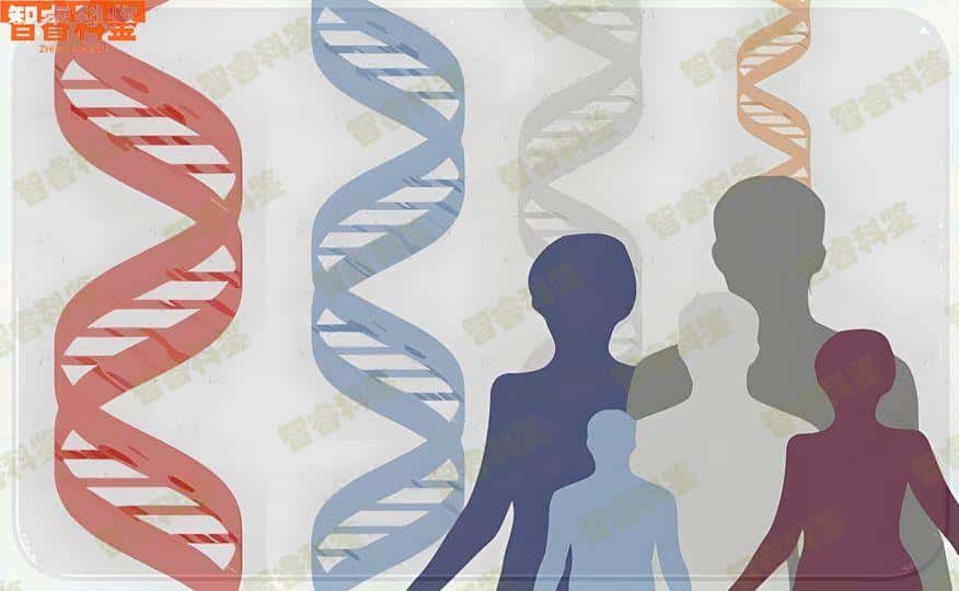 南通如东县亲子鉴定机构汇总查询