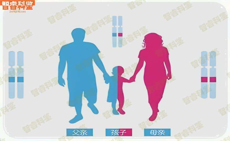 徐州邳州市亲子鉴定机构汇总查询