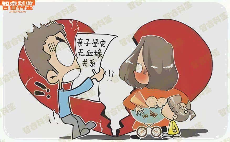 邳州上户亲子鉴定怎么做