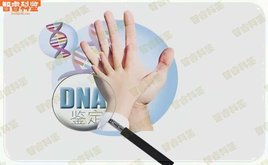 【泰州市靖江市胎儿中云亲子鉴定咨询服务点】联系方式_地址电话