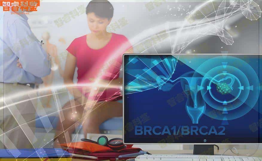 靖江小孩亲子鉴定费用是多少