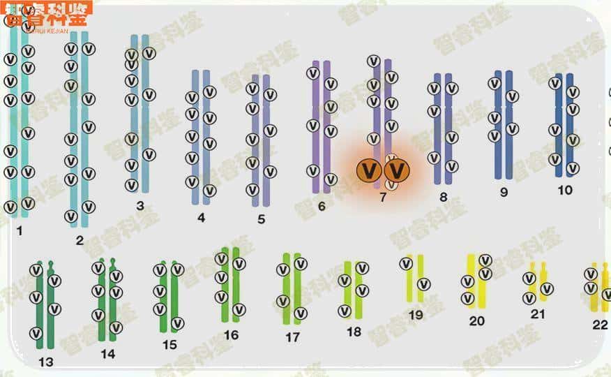 镇江最全13家无创产前亲子鉴定中心大全