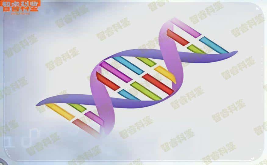 扬州宝应县可以做亲子鉴定的机构