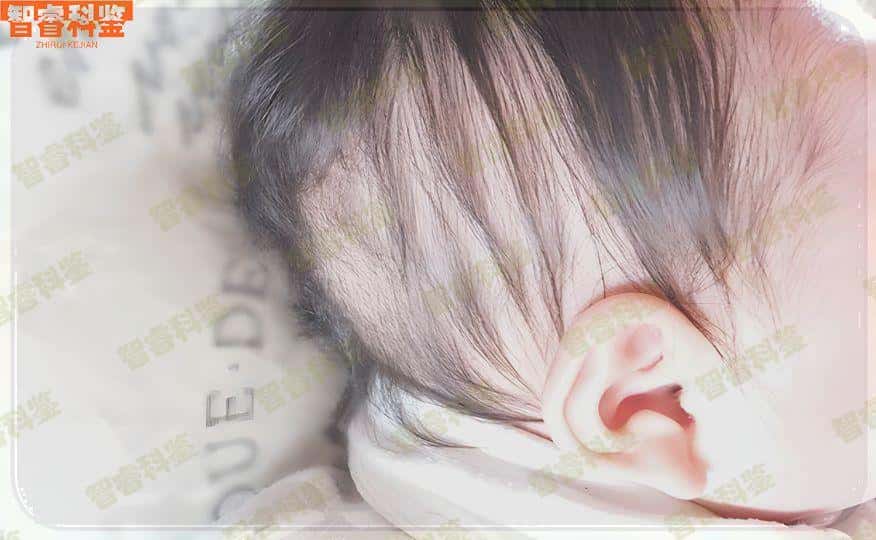 产后的亲子鉴定市上有吗