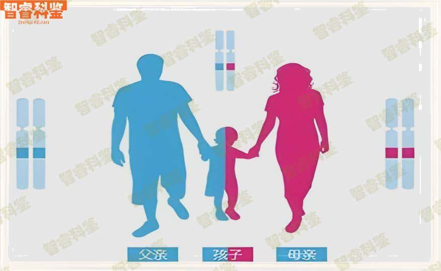 淮安金湖县可以做个人亲子鉴定的中心12家大全