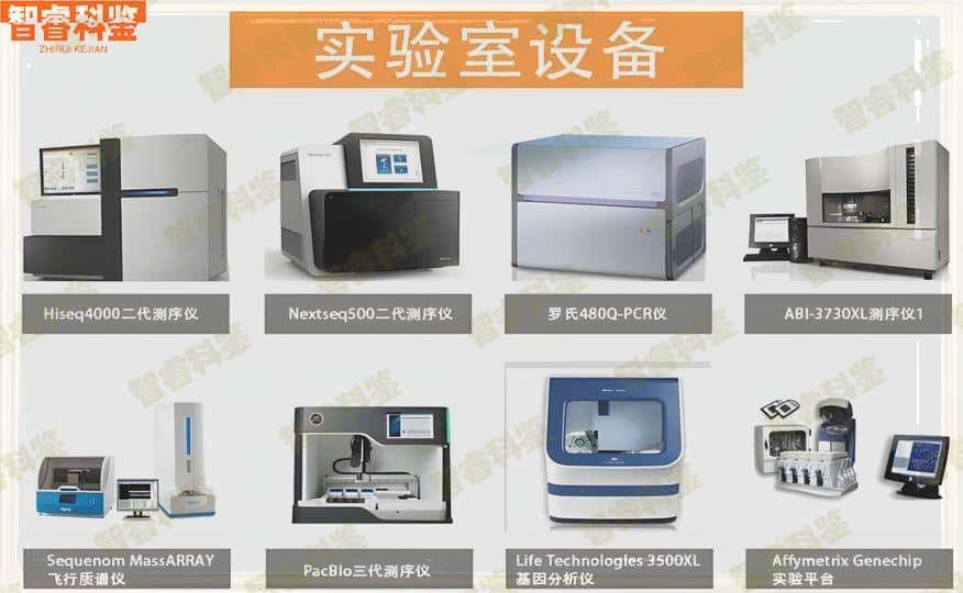 上饶个人亲子鉴定DNA中心_匿名亲子鉴定