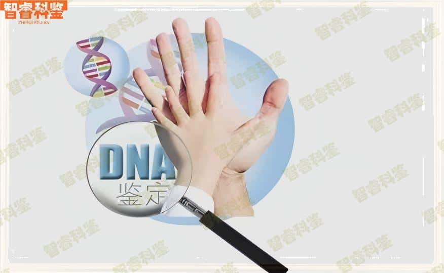九江市区孕期亲子鉴定收费标准公示