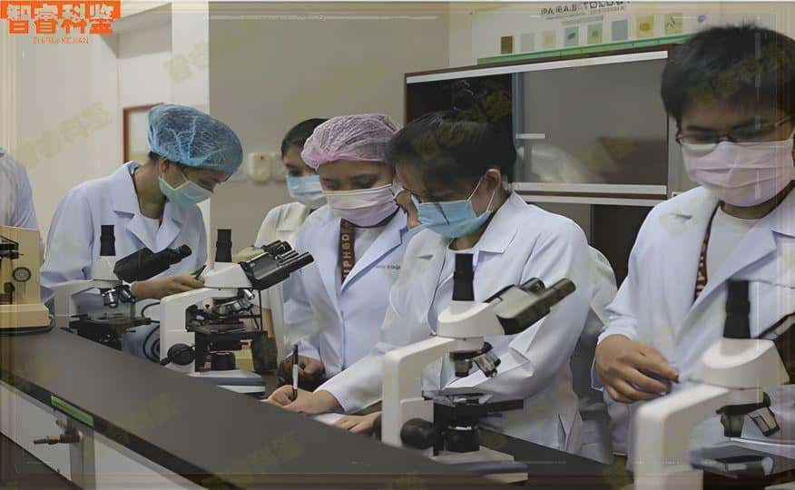 景德镇市怀孕亲子鉴定中心收费价目表一览