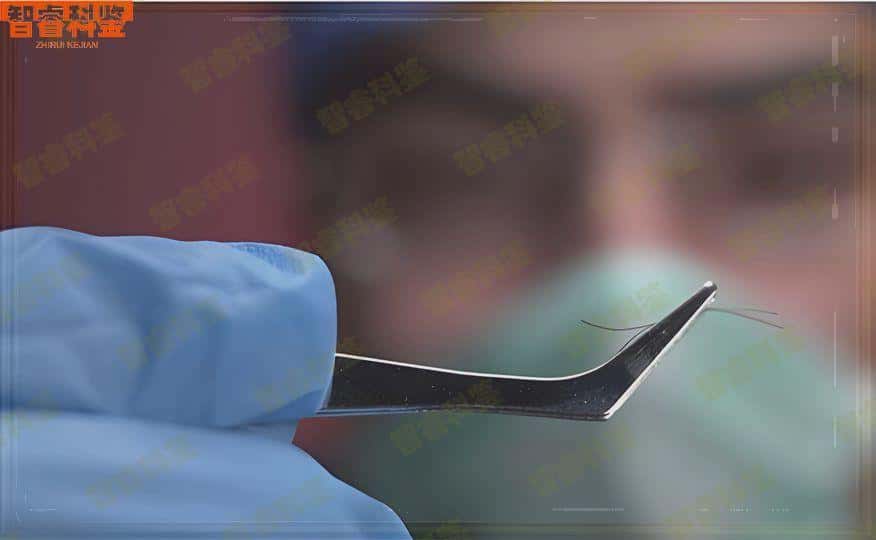 景德镇做个人隐私亲子鉴定费用明细一览查询