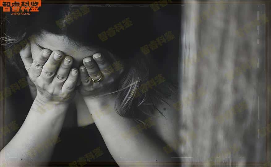 新余市可以做亲子鉴定的机构
