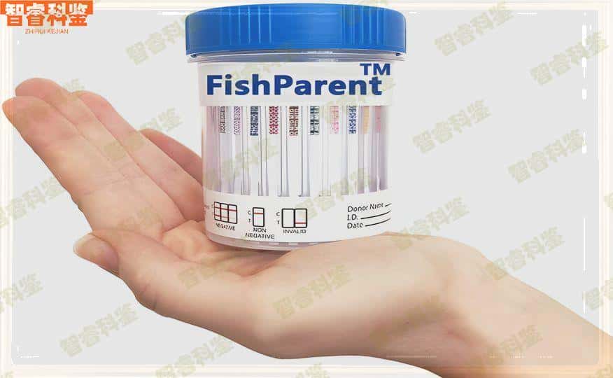 吉安可以做亲子鉴定的正规医院