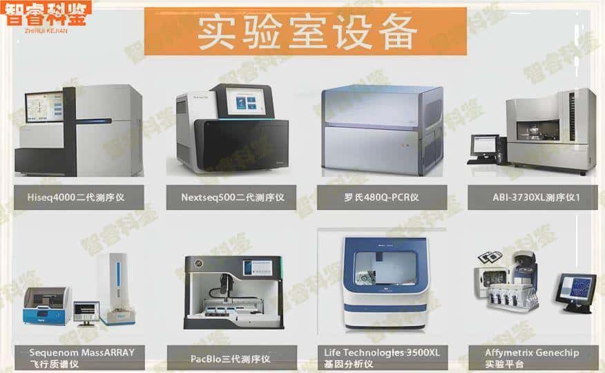 新余分宜县26家正规亲子鉴定机构大全