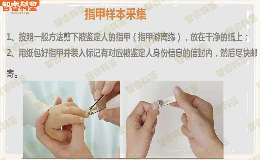 樟树最全亲子鉴定费用标准一览