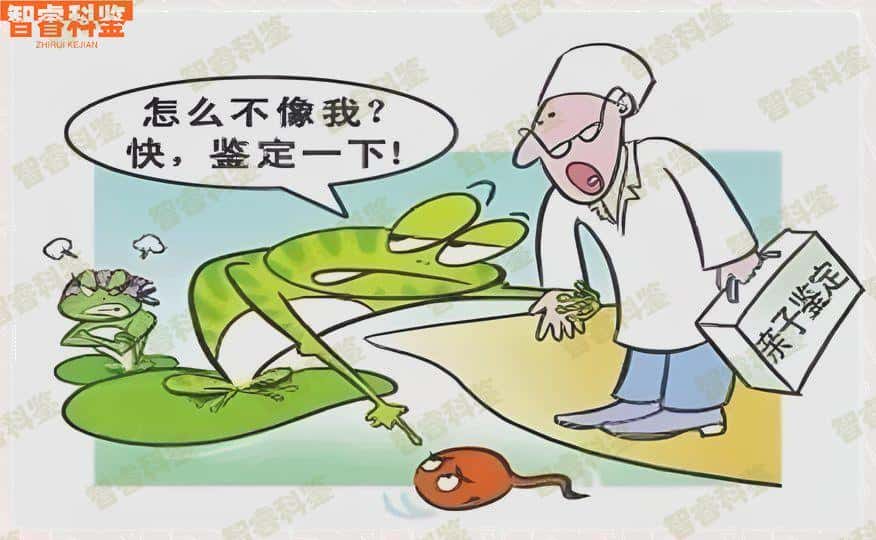 樟树可以做个人隐私亲子鉴定的9个地方