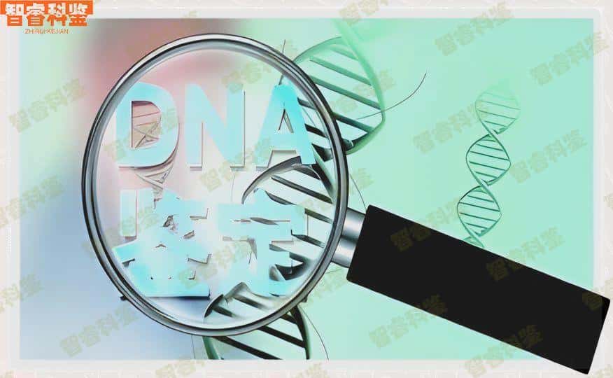 抚州可以做个人亲子鉴定中心机构11家