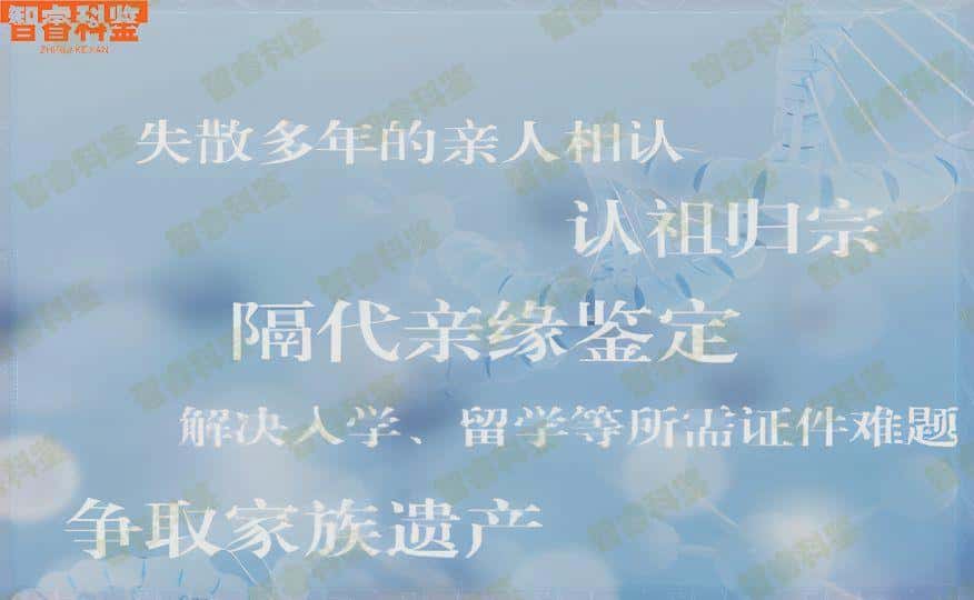 东莞什么地方可以做亲子鉴定？