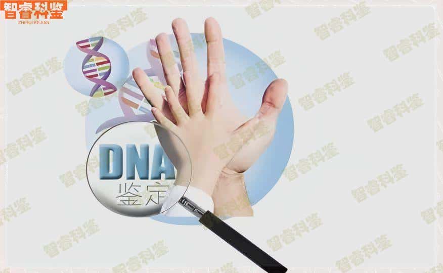 浮梁县中心医院能做抽血亲子鉴定吗