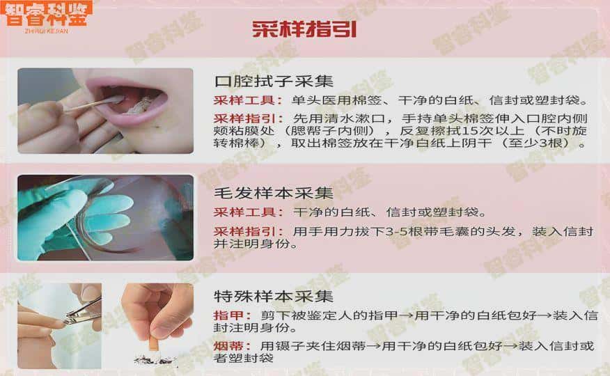 江西景德镇亲子鉴定机构大全