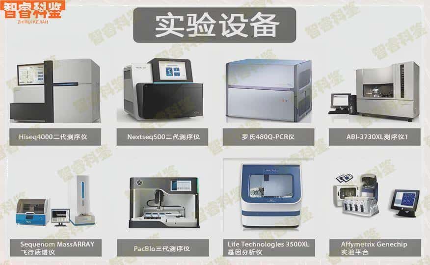 吉林市亲子鉴定10家机构一览