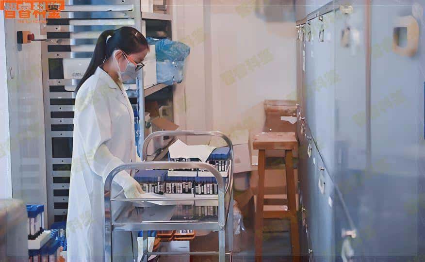 松原亲子鉴定中心地址