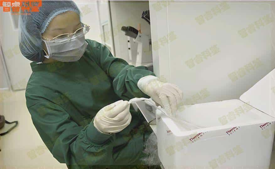 通化市亲子鉴定中心收费