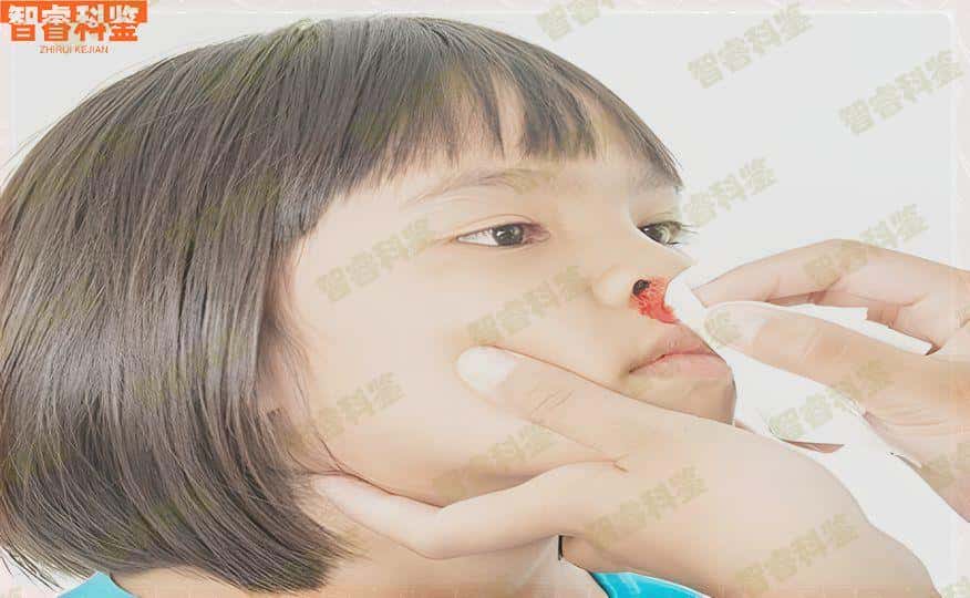 辽源最全亲子鉴定费用标准一览表
