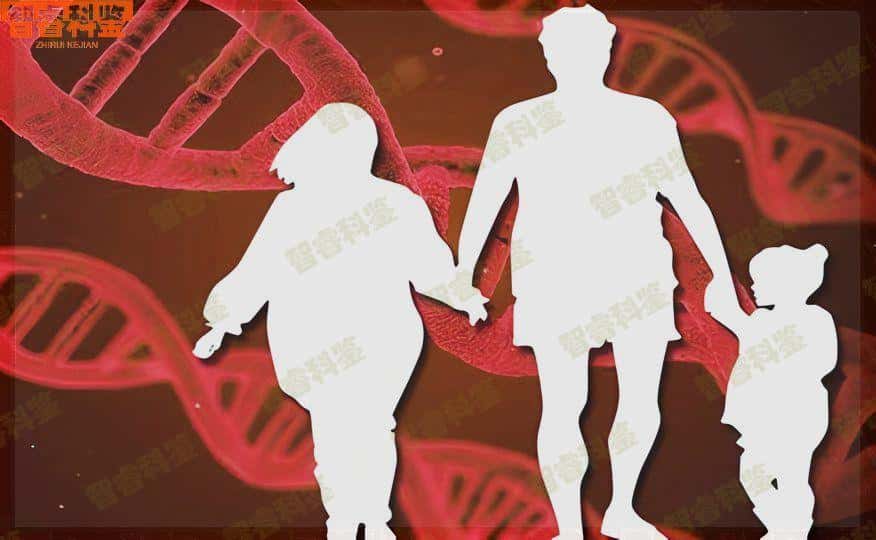 热点来袭 辽源正规的亲子鉴定